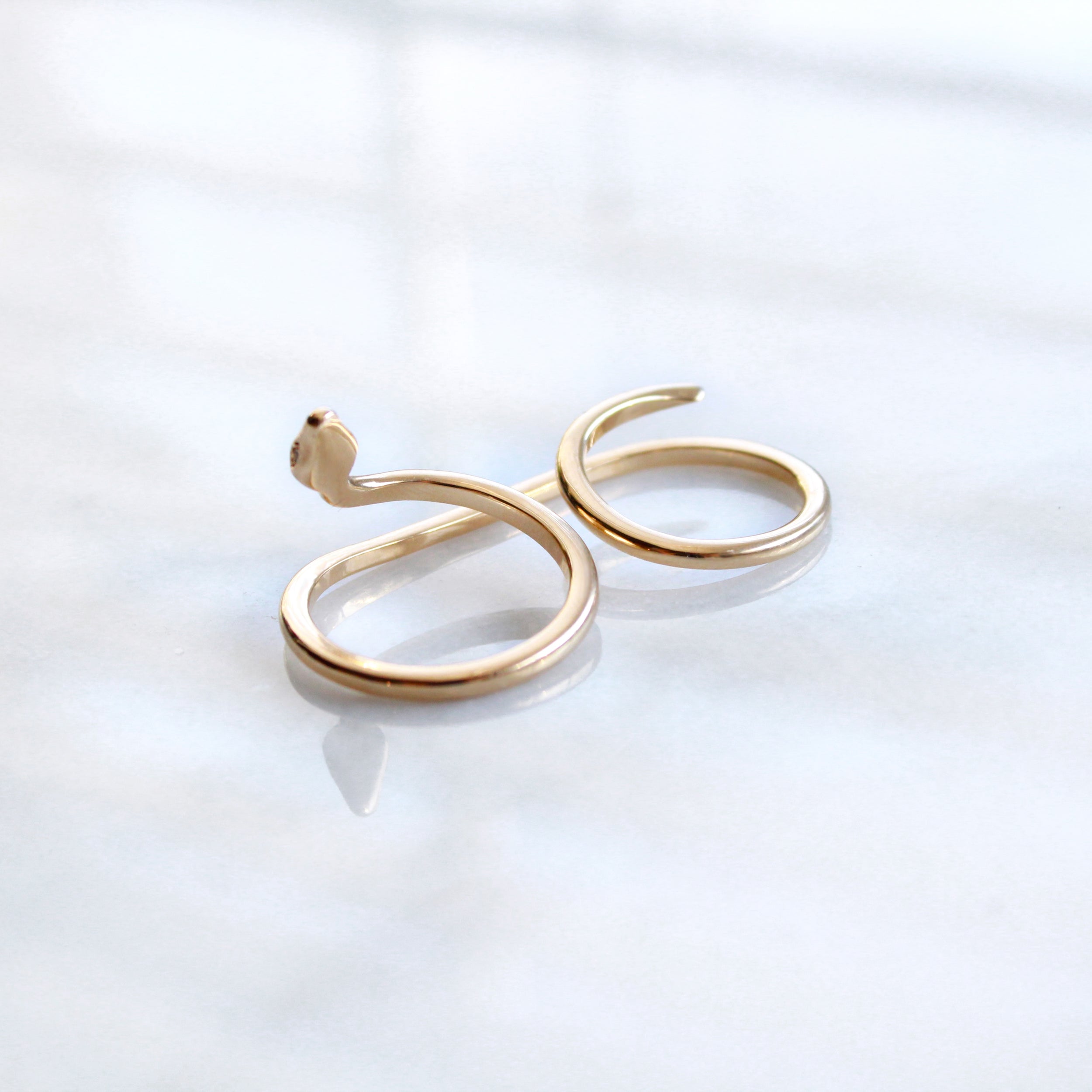 Sesha Ring