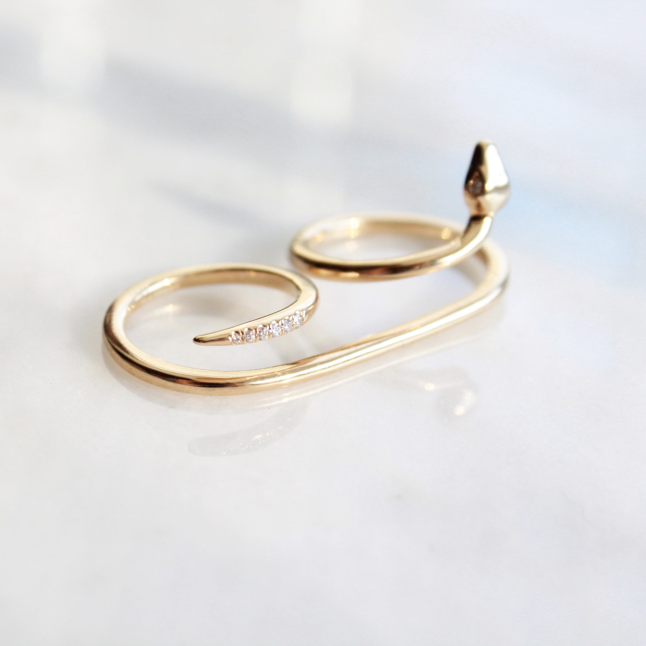 Sesha Ring